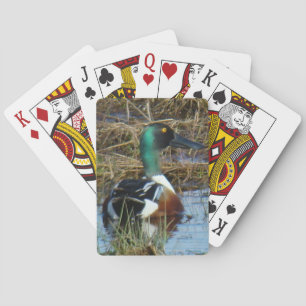 B26 Northern Shoveler Drake Spoonbill Poker Cards