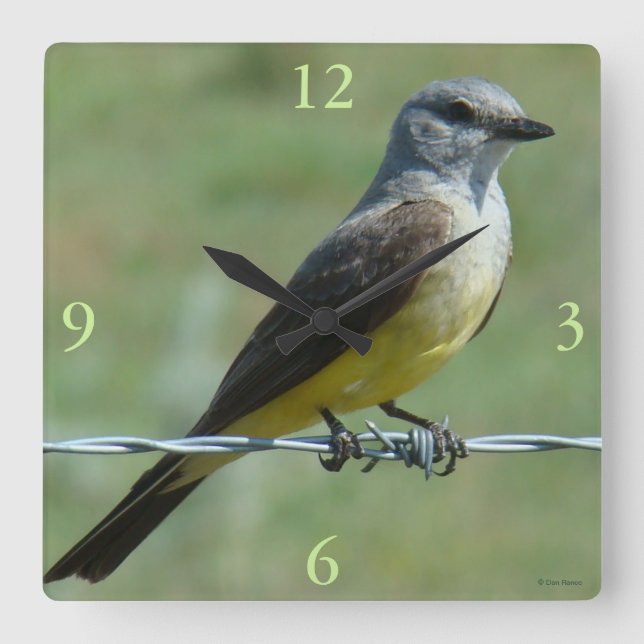 B31 Western Kingbird Square Wall Clock (Front)