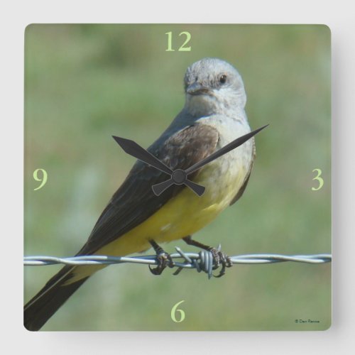 B32 Western Kingbird Square Wall Clock