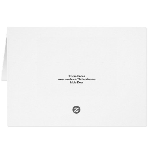 B33 Swainson's Hawk (Back Horizontal)