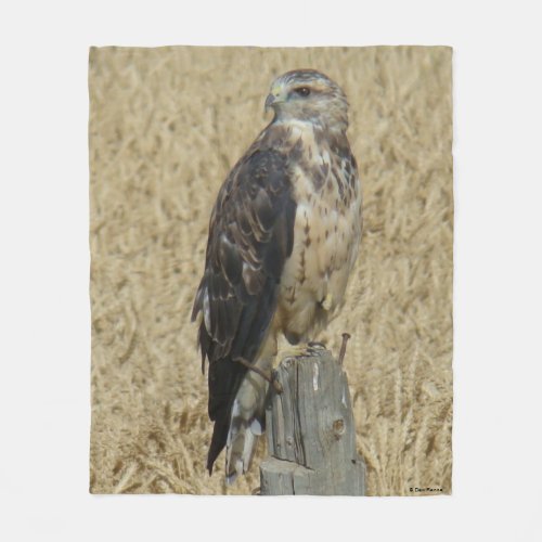 B36 Ferruginous Hawk in Wheat Field Fleece Blanket