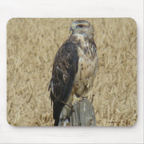B36 Ferruginous Hawk in Wheat Field Mouse Pad