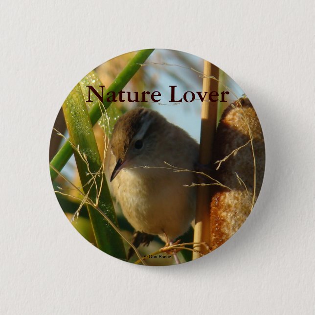 B3 Marsh Wren Pinback Button (Front)