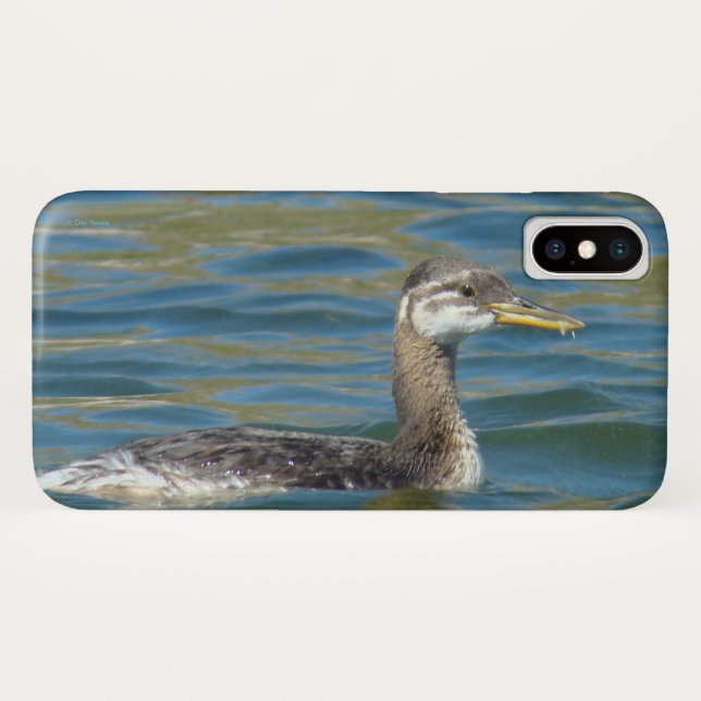 B40 Juvenile Red Throated Grebe Case-Mate iPhone Case (Back (Horizontal))