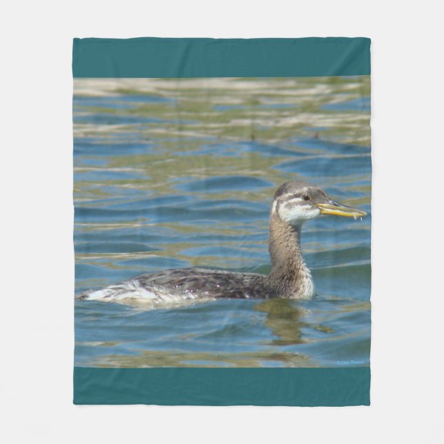 B40 Red-necked Grebe Junvenile Fleece Blanket (Front)