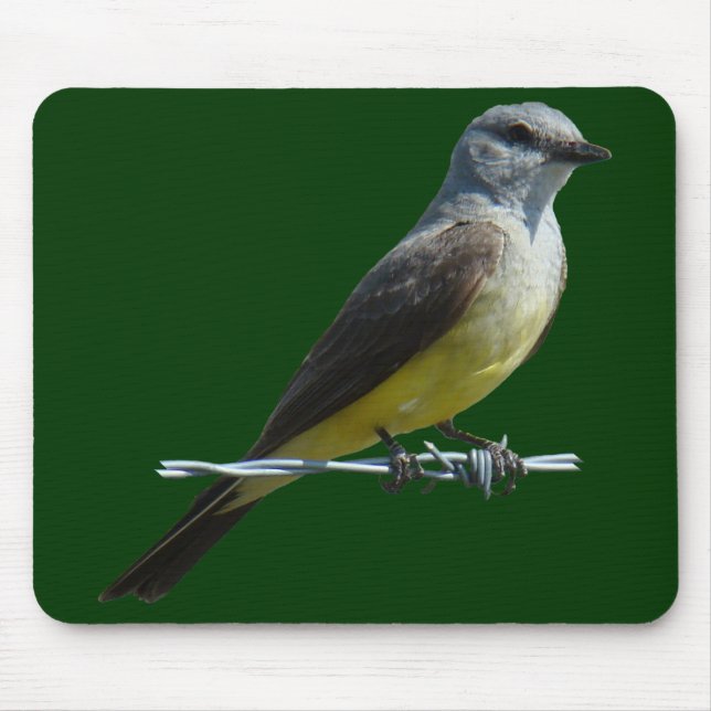 B45 Western Kingbird Mouse Pad (Front)