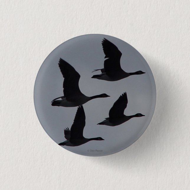 B46 Canadian Geese in Flight Button (Front)
