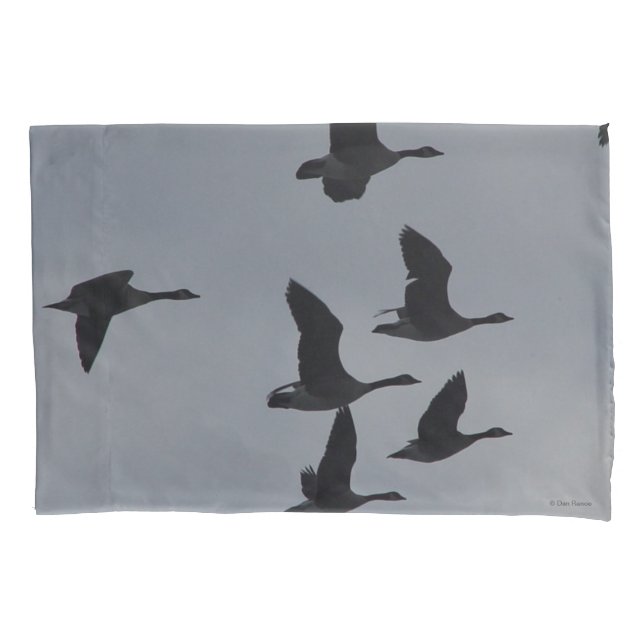 B46 Canadian Geese in Flight Silhouette Pillow Case (Front)