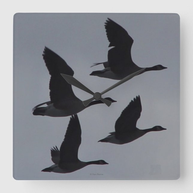 B46 Canadian Geese in Flight Square Wall Clock (Front)