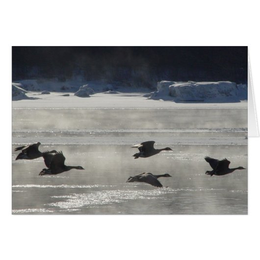 B47 Canadian Geese Over Frozen River Cards (Front Horizontal)