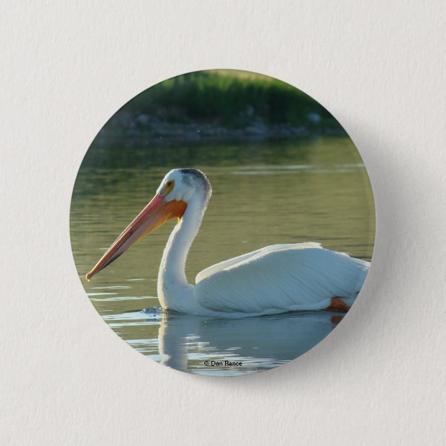 B4 White Pelican Button (Front)