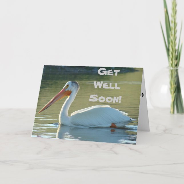 B4 White Pelican Card (Front)