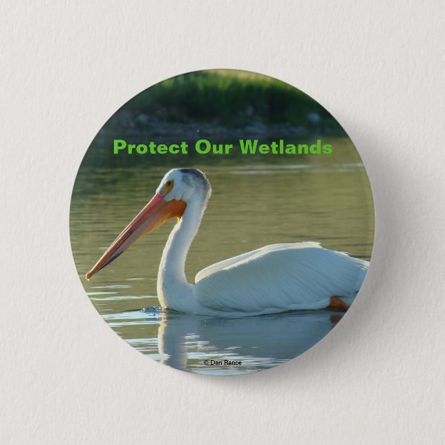 B4 White Pelican Pinback Button (Front)
