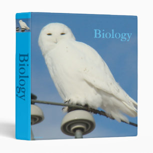 B50 Snowy Owl Binder