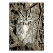 B51 Great Horned Owl (Front)