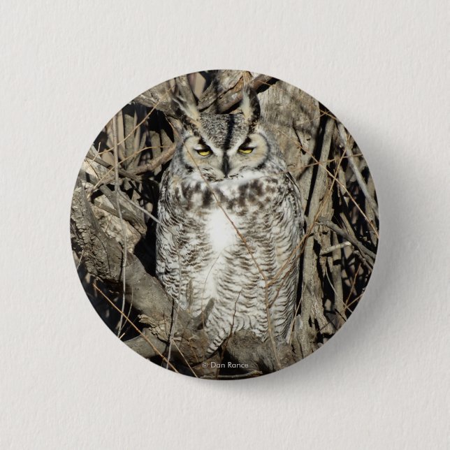 B51 Great Horned Owl Button (Front)