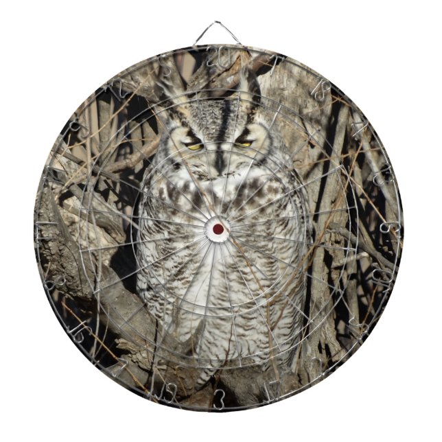 B51 Great Horned Owl Dart Board (Front)