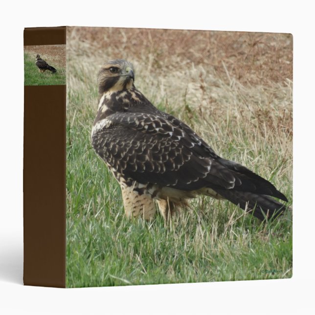 B52 Swainson's Hawk Binder (Front/Spine)