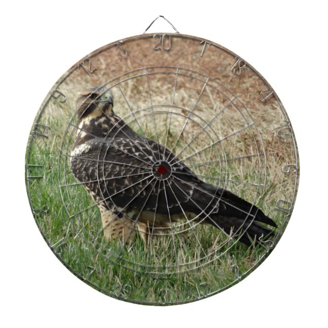 B52 Swainson's Hawk Dart Board (Front)