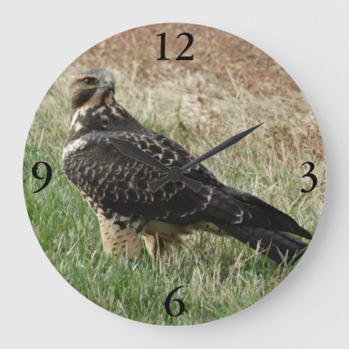 B52 Swainsons Hawk Large Clock