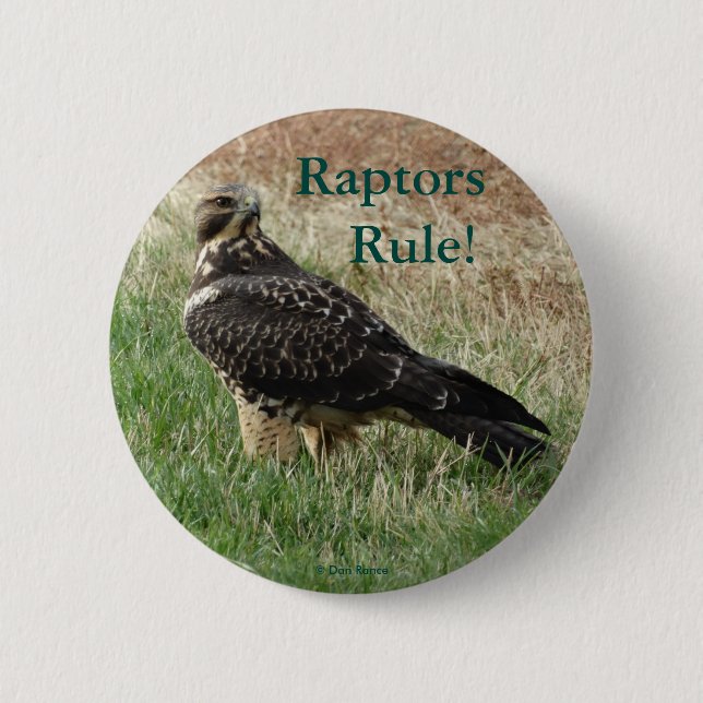 B52 Swainson's Hawk Pinback Button (Front)