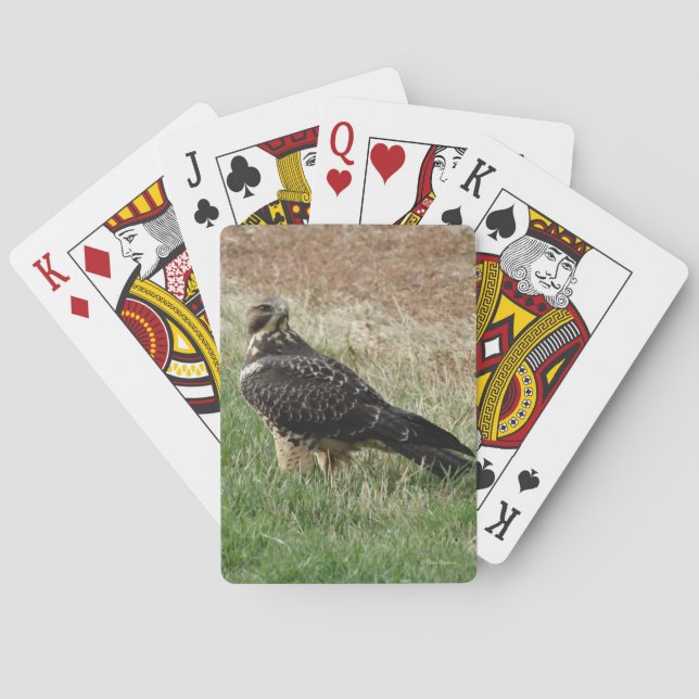 B52 Swainson's Hawk Poker Cards (Back)