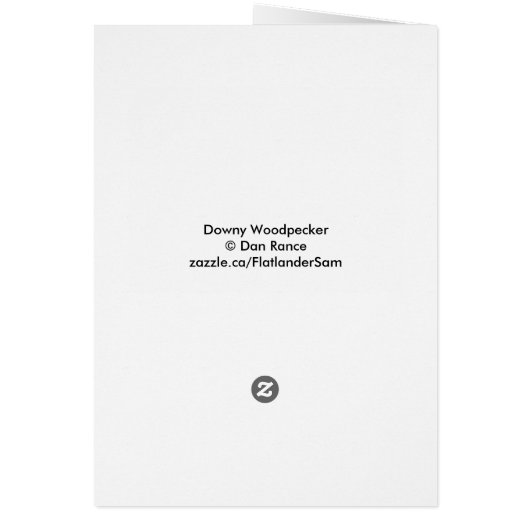 B53 Downy Woodpecker (Back)