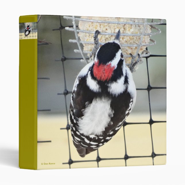 B53 Downy Woodpecker Binder (Front/Spine)