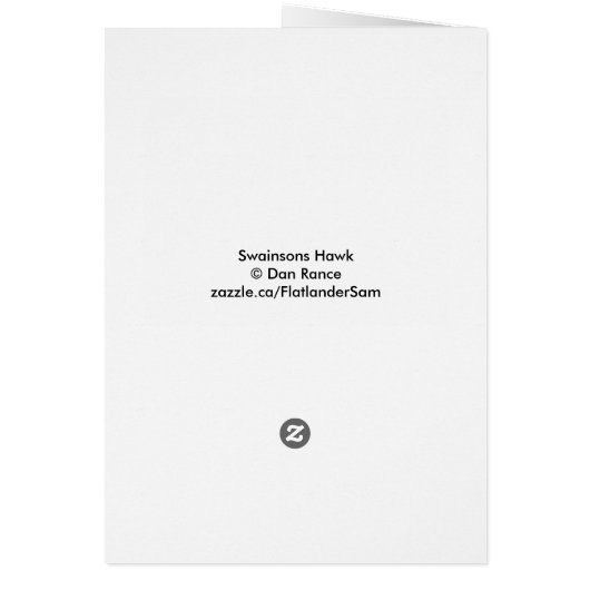 B54 Swainson's Hawk (Back)