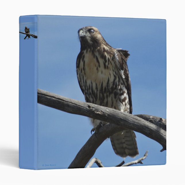 B54 Swainsons Hawk Binder (Front/Spine)