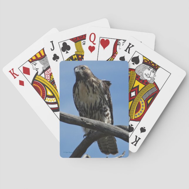 B54 Swainson's Hawk Poker Cards (Back)