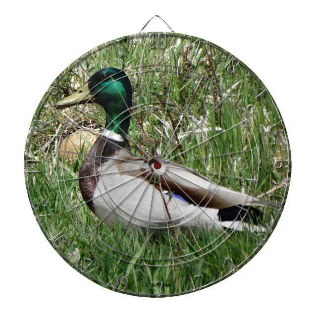 B55 Mallard Duck Drake Greenhead in the Grass Dart Board (Front)