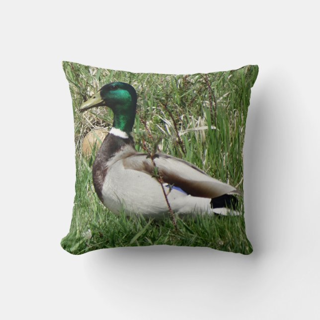 B55 Mallard Duck Drake Greenhead in the Grass Throw Pillow (Front)