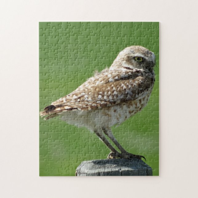 B56 Burrowing Owl Jigsaw Puzzle (Vertical)