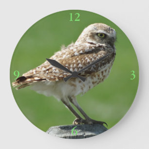 B56 Burrowing Owl Large Clock