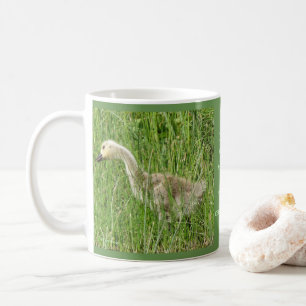 B58 Canada Goose Gosling in the Grass Coffee Mug