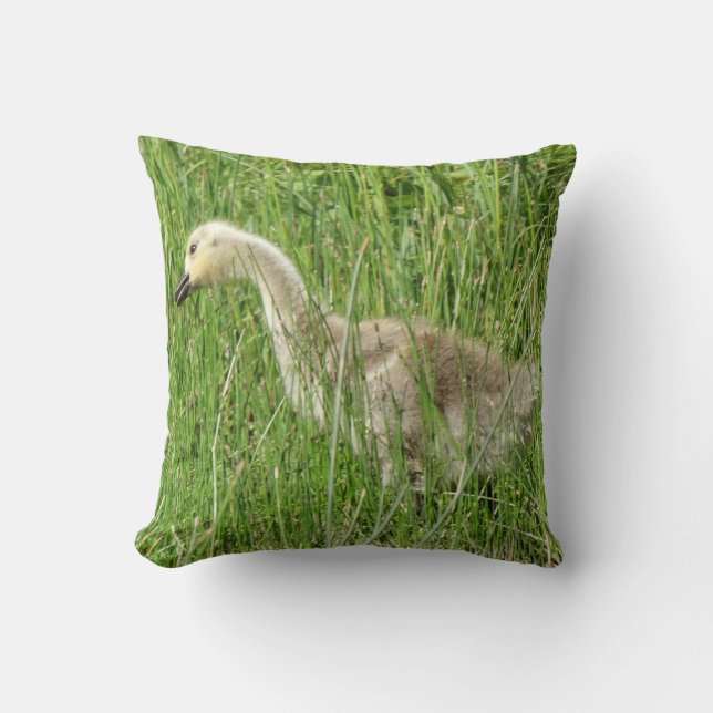 B58 Canada Goose Gosling in the Grass Throw Pillow (Front)