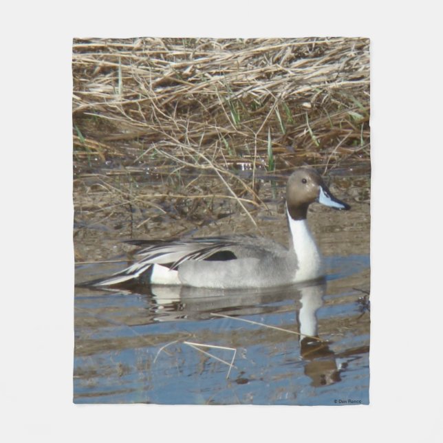 B5 Pintail Duck Drake Fleece Blanket (Front)