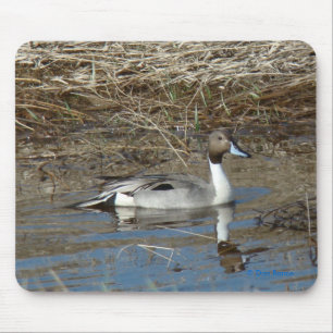 B5 Pintail Duck Drake Mouse Pad