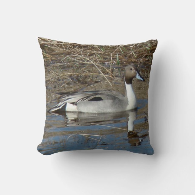 B5 Pintail Duck Drake Throw Pillow (Front)