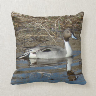 B5 Pintail Duck Drake Throw Pillow
