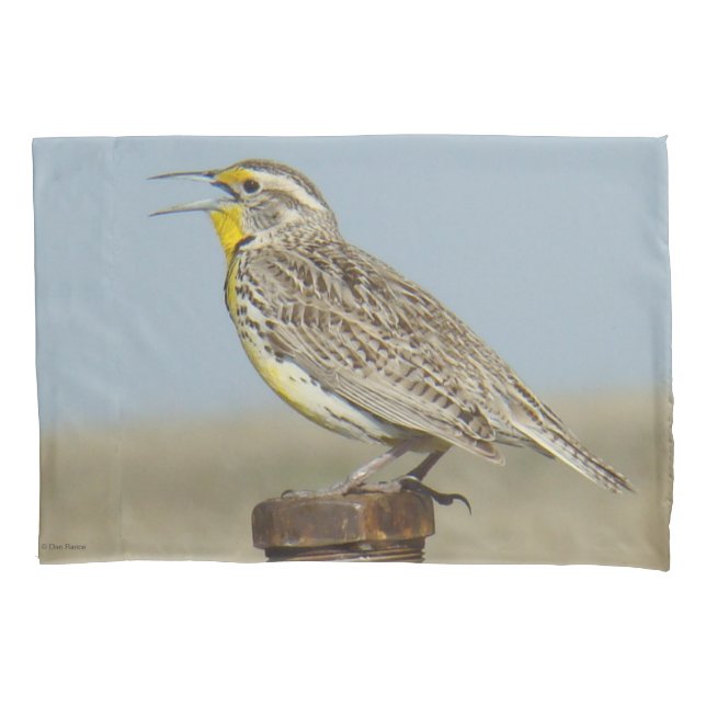 B6 Western Meadowlark Pillow Case (Front)