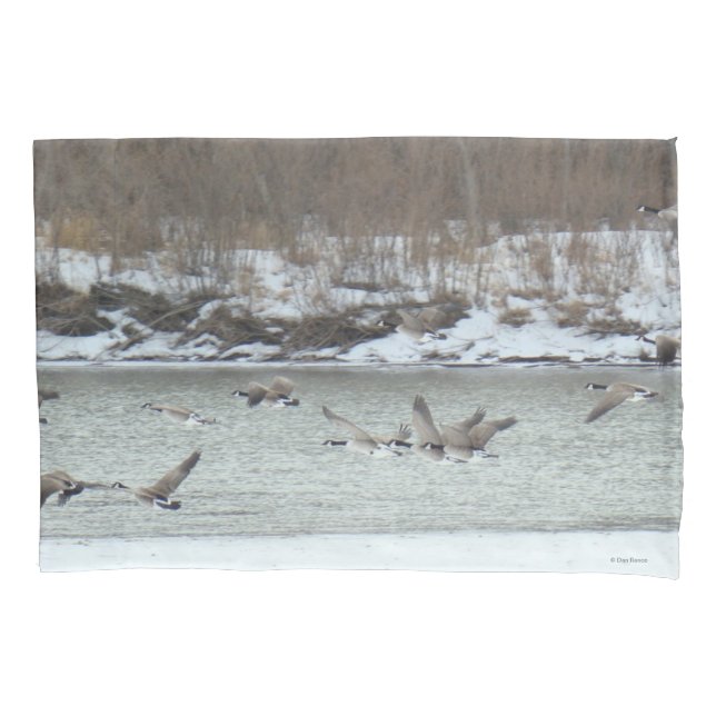 B7 Canadian Geese in Flight Pillow Case (Front)