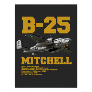 B-25 Mitchell   WW2 Plane Poster