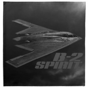B-2 Spirit Cloth Napkins (set of 4) dinner 20" x
