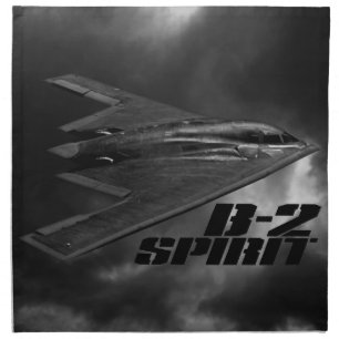 B-2 Spirit Cloth Napkins (set of 4) dinner 20" x