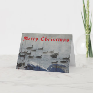 B 49 Canada Geese on Foggy River Christmas Card