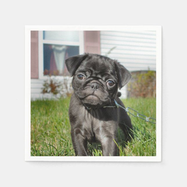 B;ack Pug pupp Napkins (Front)