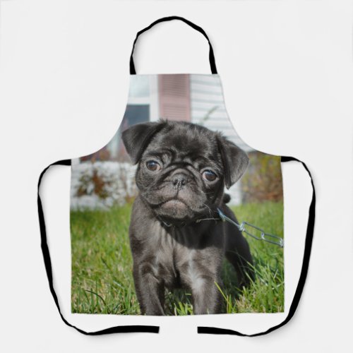 Back Pug puppy Apron