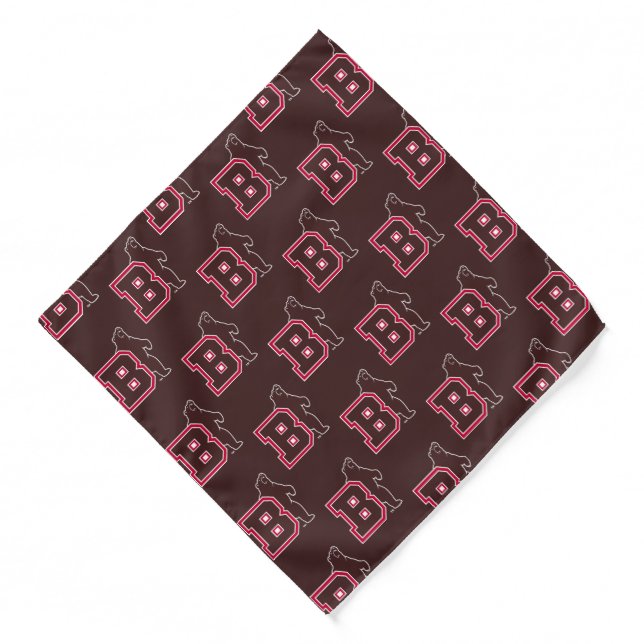 B & Bear Bandana (Front)